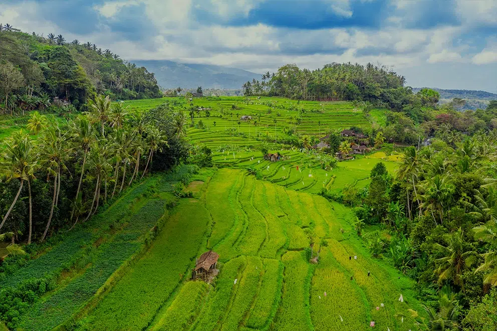 20 unique things to do in ubud