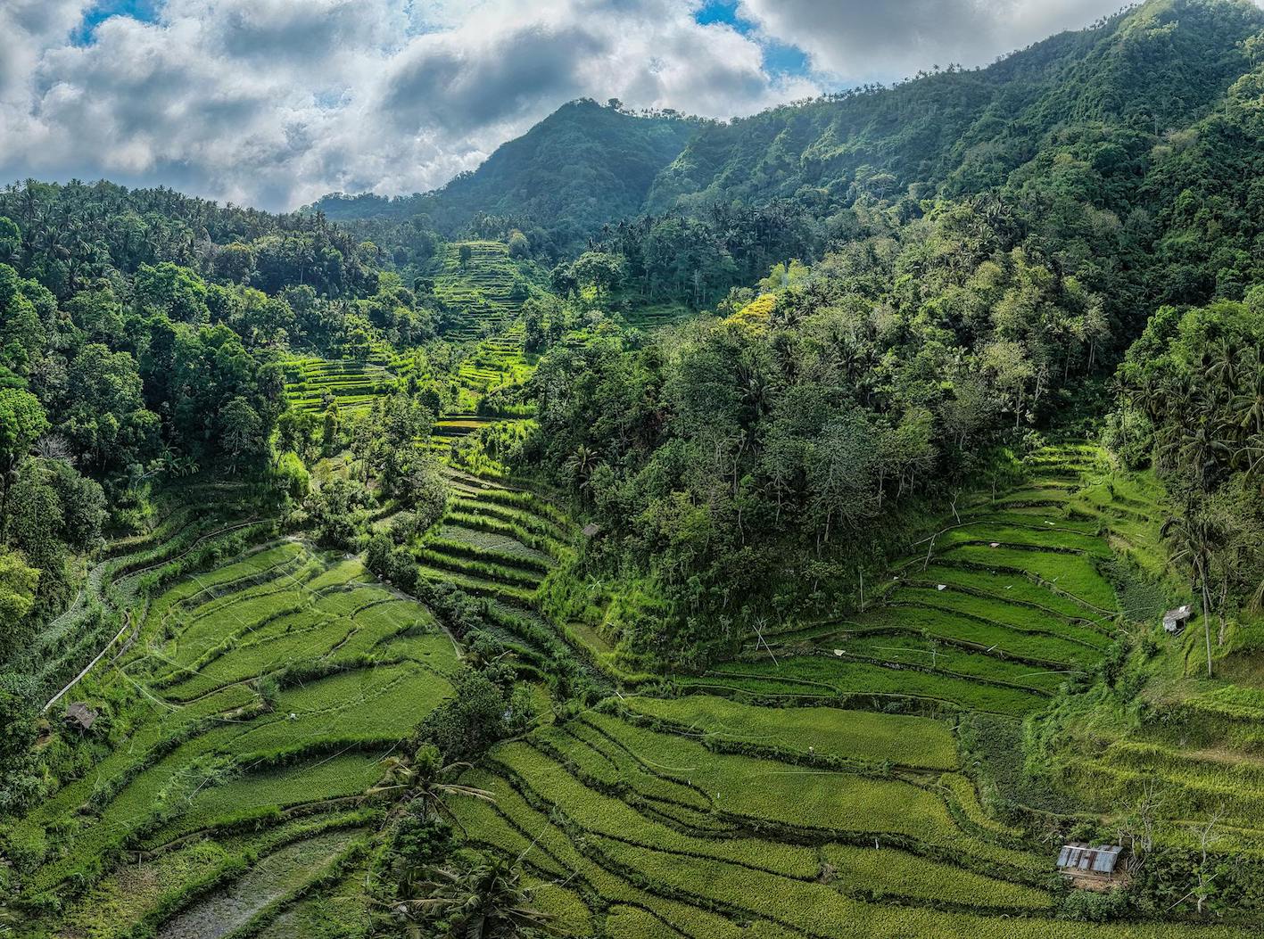 best places to stay in ubud