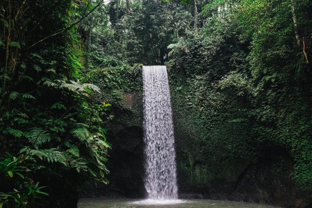 Hidden gem in ubud