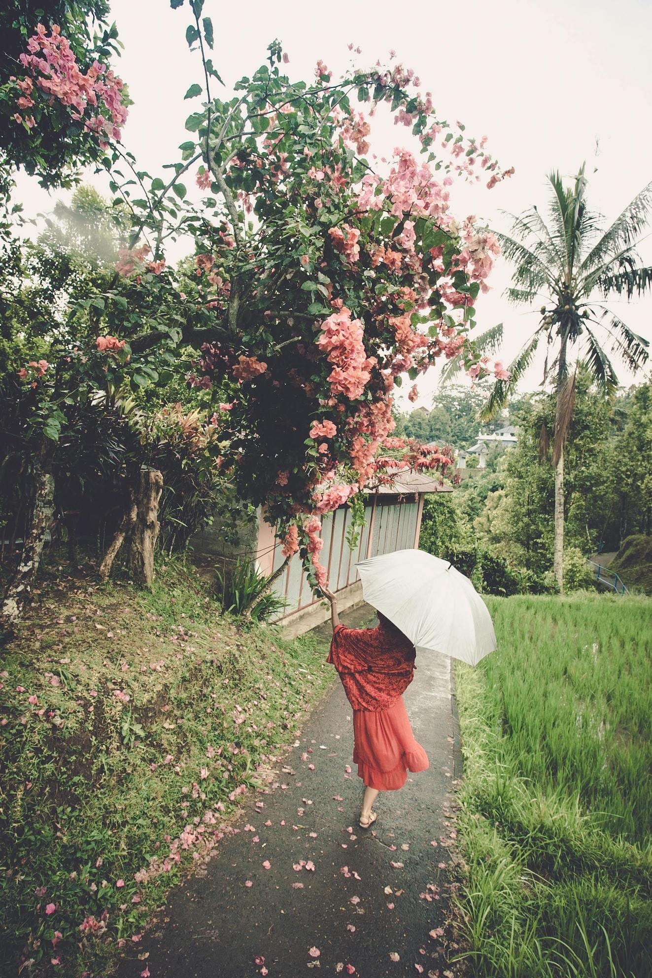 hidden gem in ubud 3