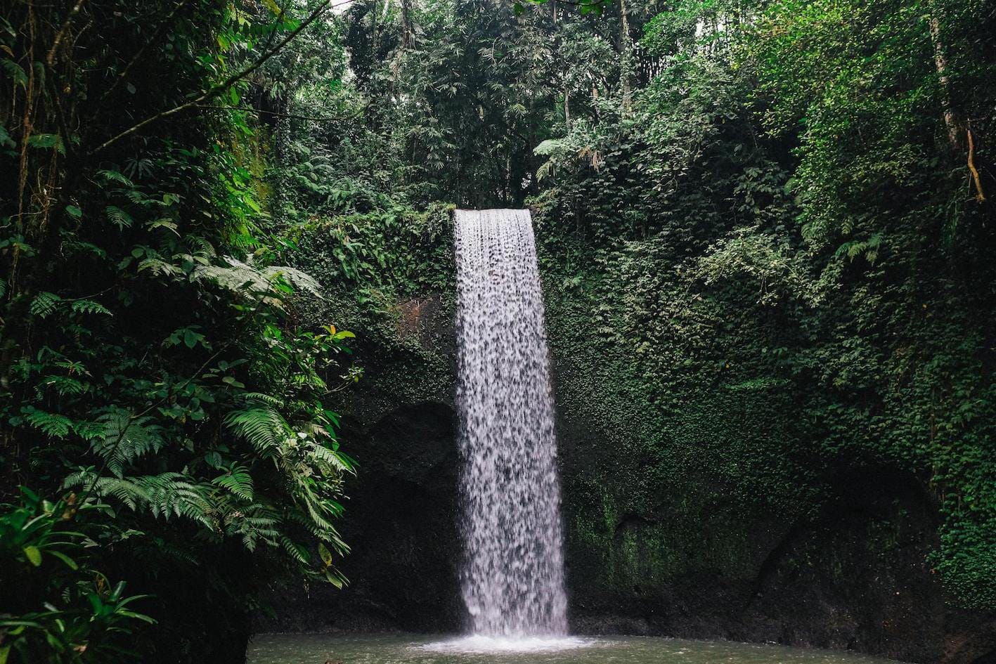 Hidden gem in ubud