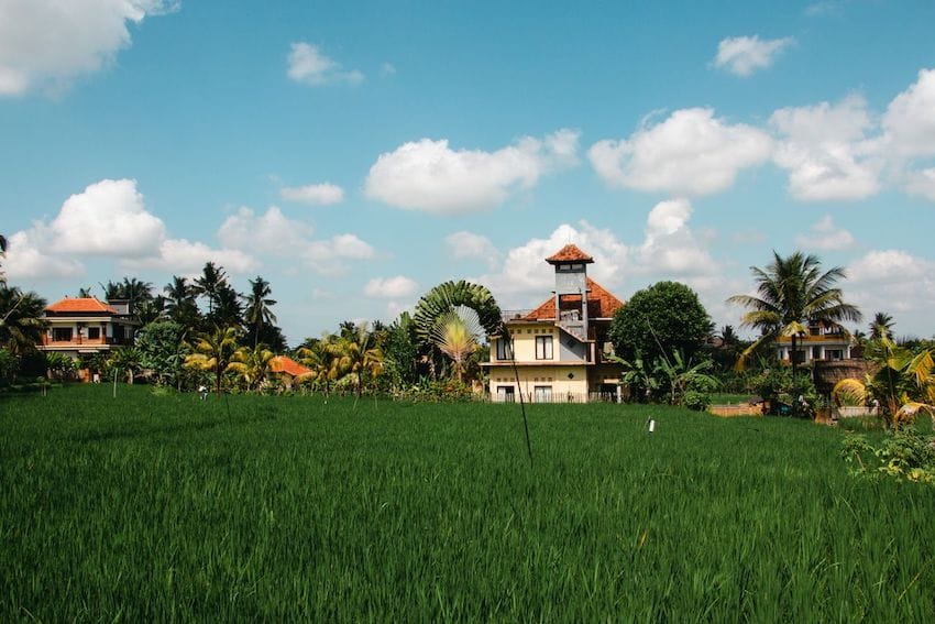 Living in ubud for a month