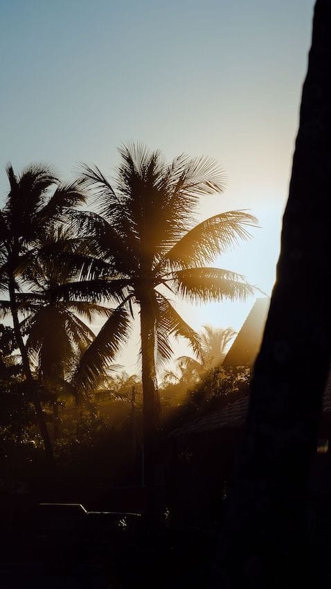 Best sunrise spots in ubud