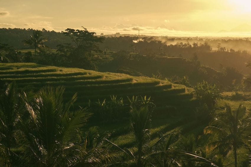 sunrise spots in ubud