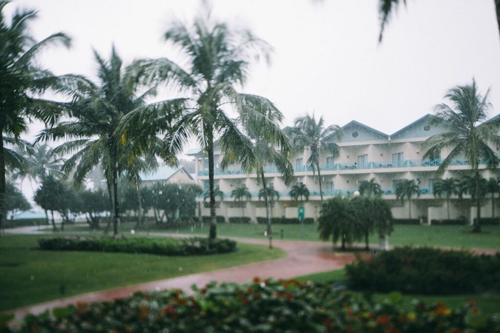 Palm trees and a lawn under grey skies during a tropical rain shower